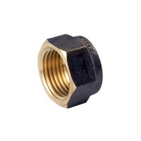 20 Hexagon Cap Screwed Brass 