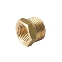 Screwed Bush Reducing Brass 20 X 15