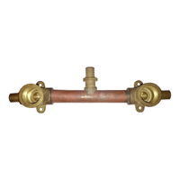 Shower Assembly Straight 150mm (SIDE ENTRY)
