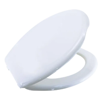 Everyday Toilet Seat