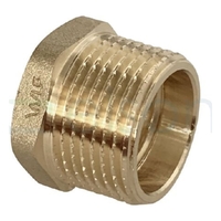 Bush Screwed Brass, 20mm MI x 15mm FI