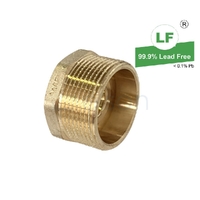 Bush Screwed Brass, R1 1/4 x Rp1/2