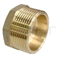 Bush Screwed Brass, 40mm MI x 20mm FI