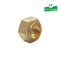 Kinco Nut Nylon Olive Compression, Brass, 20mm (3/4")