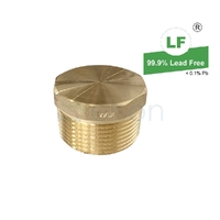 Plug Screwed Brass, 32mm (1 1/4")