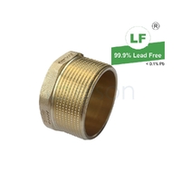 Plug Screwed Brass, 50mm (2")