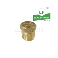 Plug Screwed Brass, 6mm (1/4")