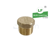 Plug Screwed Brass, 10mm (3/8")
