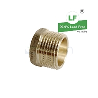Plug Screwed Brass, 25mm (1")