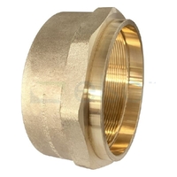 Bush Tube Brass Capillary Female No. 4F, 100mm OD x 100mm FI