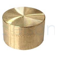 Stop End Brass Capillary No. 61, 25mm OD