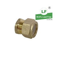 Stop End Nylon Olive Nylon Olive Compression Stop End, Brass, 20mm C (3/4")