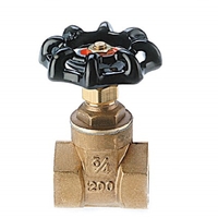Gate Valve Untested
