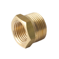 10mm X 4mm Screwed Bush Reducing Brass 