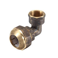 20FI X 25PE Poly Connection Elbow Brass 