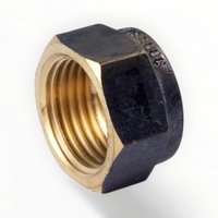 Hexagon Cap Screwed BR 32MM LF