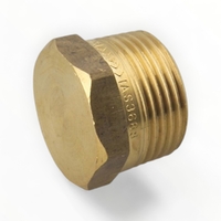 Hexagon Plug BR 15MM LF
