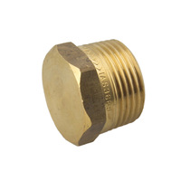 20mm Hexagon Plug Brass 