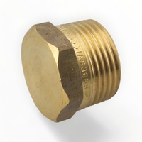 Hexagon Plug BR 100MM LF