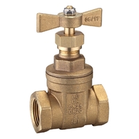 Gate Valves | Igol