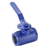 Lever Handle Fi X Fi | Ductile Iron Ball Valves