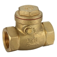 Swing Check Valve General Purpose | Non Return Valves