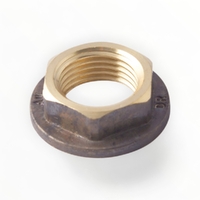 Flanged Back Nut BR 15mm LF