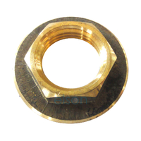Back Nut Screwed Brass Flanged
