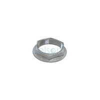Back Nut Flanged Chrome Plated
