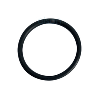 Trap O Ring Washer
