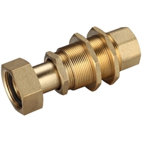 20FI X 25FI BSP Meter Coupling Extendable Brass 