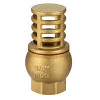 50mm Foot Valve Brass 
