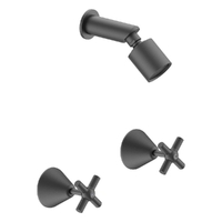 Fusion Cross Shower Set - Sileno Shower - 3 Star - Jumper Valve Gunmetal