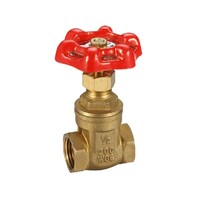 20mm Gate Valve General Purpose Brass 