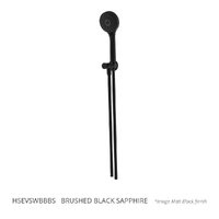 Evolve 3 Function Hand Shower On Swivel Wall Bracket - 3 Star - Brushed Black Sapphire