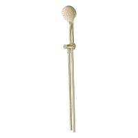 Evolve 3 Function Hand Shower On Swivel Wall Bracket - 3 Star - Brushed Gold