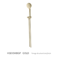 Evolve 3 Function Hand Shower On Swivel Wall Bracket - 3 Star - Gold