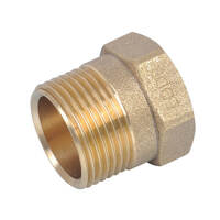 25MI X 25FI Gas Meter Coupling Brass 
