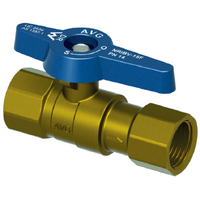 20mm F X F Non Return Isolation Ball Valve