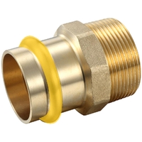 Male Coupling  DN50 X 2'MI