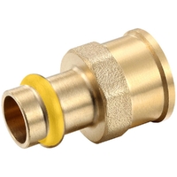 Female Coupling DN50 X 2'FI