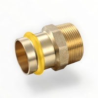 DN65 X 2-1/2 MI Male Coupling Gas Press