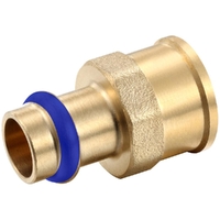 DN25 X 1FI Female Coupling Water Press