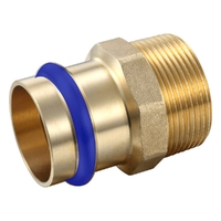Male Coupling DN65 X 2 1/2'MI