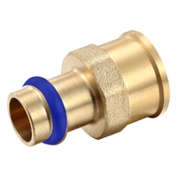 DN65 X 2-1/2FI Female Coupling Water Press