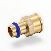 Female Coupling Reducing DN20 X 1FI
