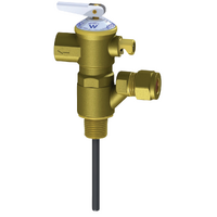 15mm 850kPa HTT P & T Relief Valve AVG