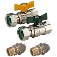 Swivel Nut Ball Valve Kit (FI End)W-20MI X 20Fl
