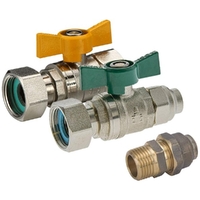 Swivel Nut Ball Valve Kit (FI End) W-20MI X 20FL Union