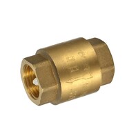 32mm Spring Check Valve Brass 